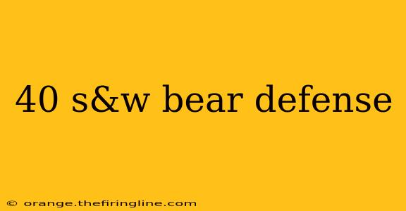 40 s&w bear defense