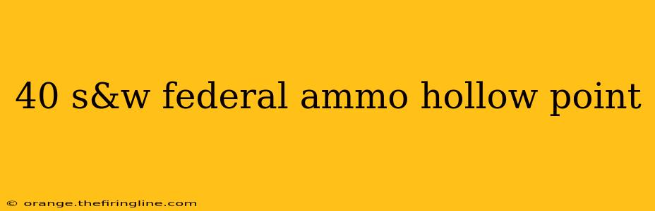 40 s&w federal ammo hollow point