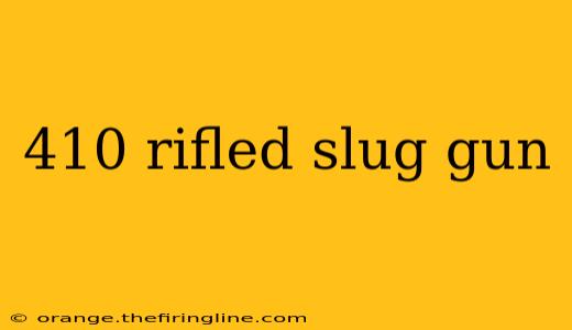 410 rifled slug gun