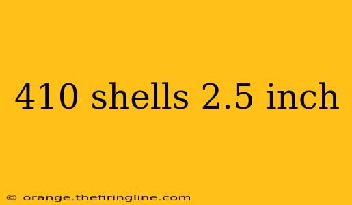 410 shells 2.5 inch