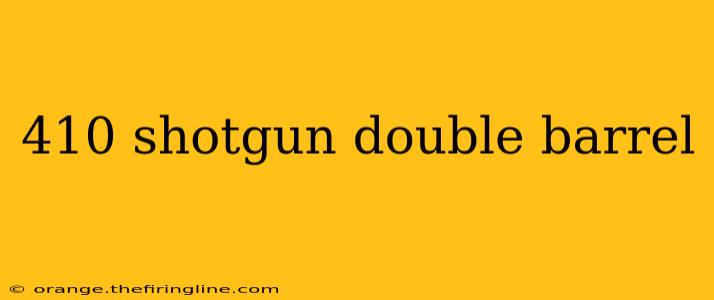 410 shotgun double barrel