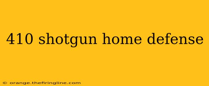 410 shotgun home defense