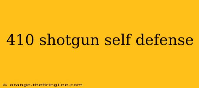 410 shotgun self defense