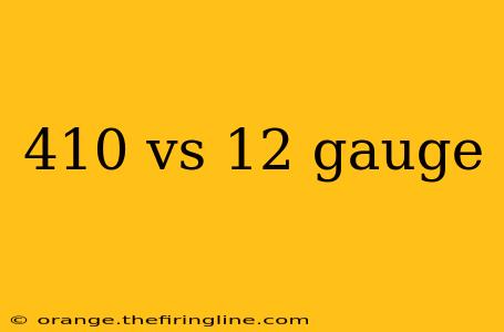 410 vs 12 gauge