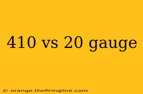 410 vs 20 gauge