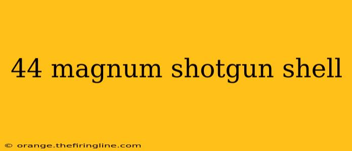 44 magnum shotgun shell