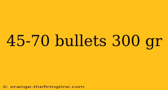 45-70 bullets 300 gr