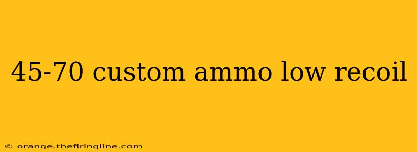 45-70 custom ammo low recoil