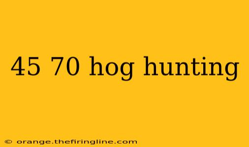 45 70 hog hunting