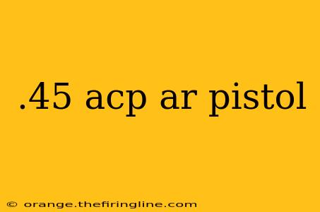 .45 acp ar pistol