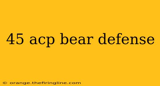 45 acp bear defense