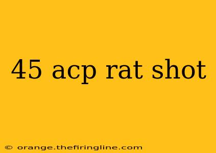 45 acp rat shot