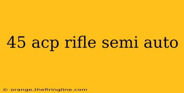 45 acp rifle semi auto