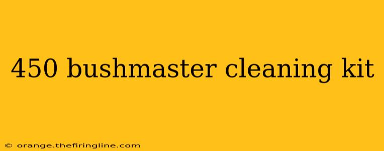 450 bushmaster cleaning kit