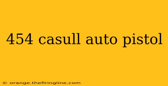 454 casull auto pistol