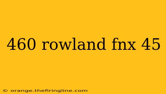 460 rowland fnx 45