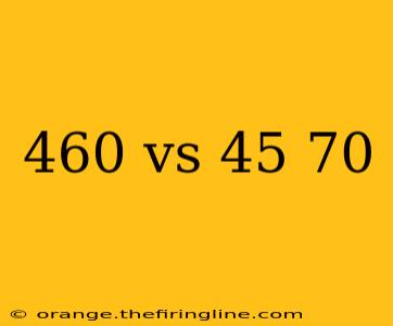 460 vs 45 70