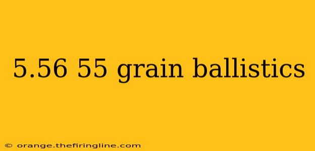 5.56 55 grain ballistics