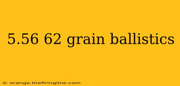 5.56 62 grain ballistics