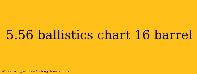 5.56 ballistics chart 16 barrel