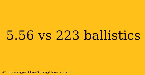 5.56 vs 223 ballistics