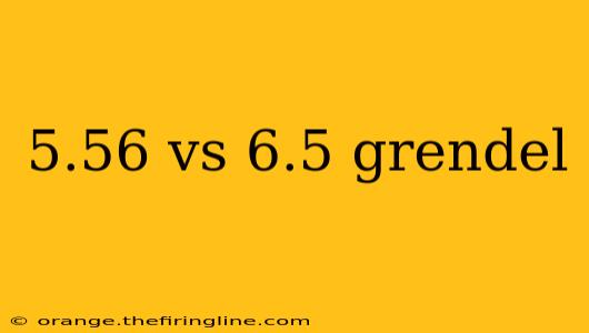 5.56 vs 6.5 grendel