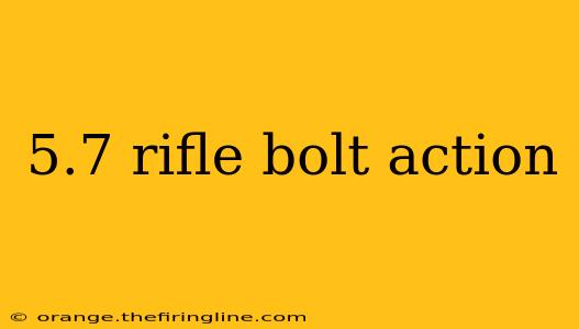 5.7 rifle bolt action