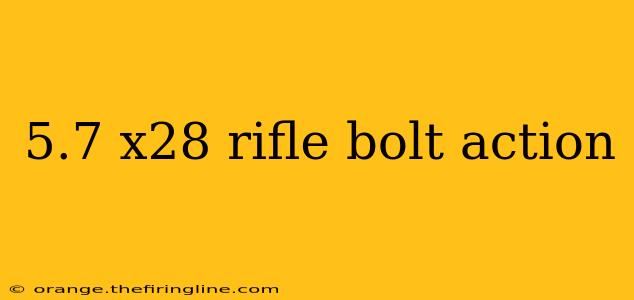 5.7 x28 rifle bolt action