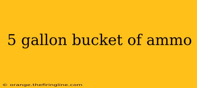 5 gallon bucket of ammo