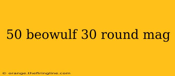 50 beowulf 30 round mag