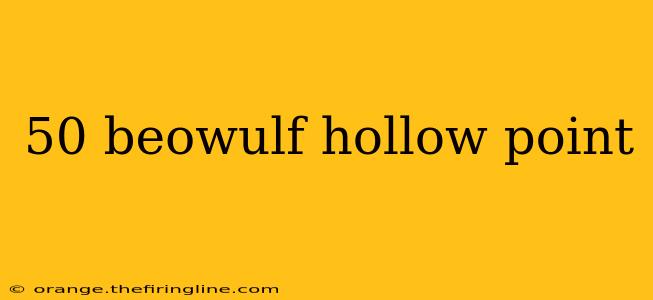 50 beowulf hollow point