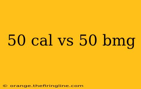 50 cal vs 50 bmg