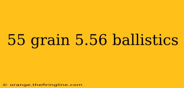 55 grain 5.56 ballistics