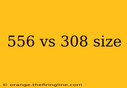 556 vs 308 size