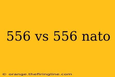 556 vs 556 nato