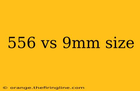 556 vs 9mm size