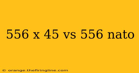 556 x 45 vs 556 nato