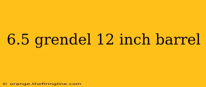 6.5 grendel 12 inch barrel