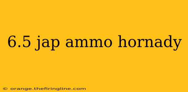 6.5 jap ammo hornady