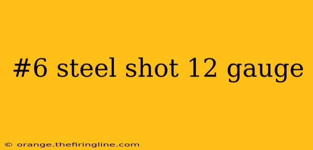 #6 steel shot 12 gauge