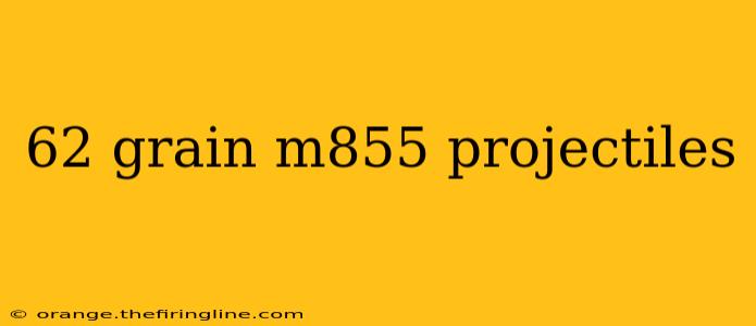 62 grain m855 projectiles