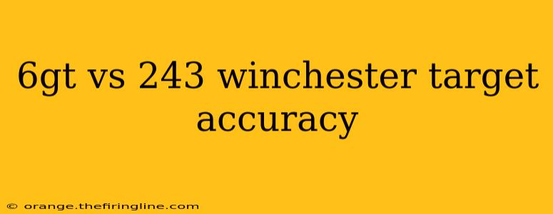 6gt vs 243 winchester target accuracy