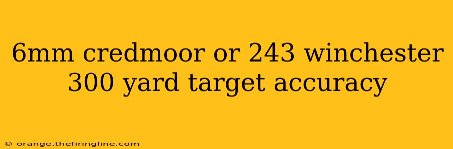 6mm credmoor or 243 winchester 300 yard target accuracy