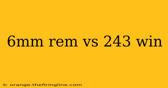 6mm rem vs 243 win