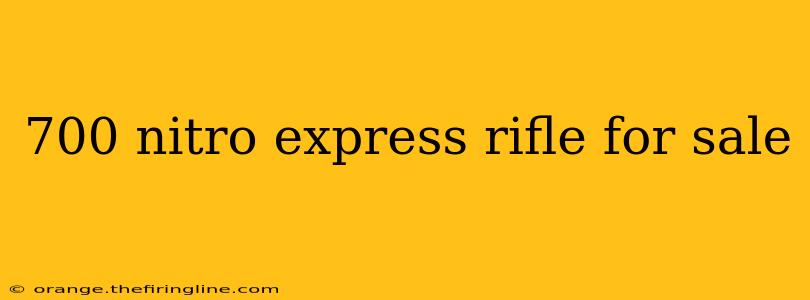 700 nitro express rifle for sale