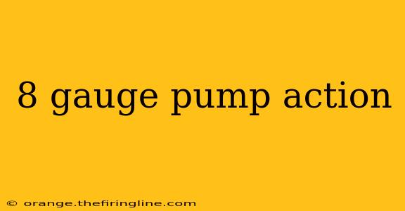 8 gauge pump action