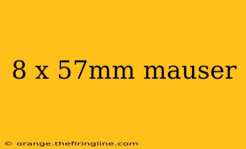 8 x 57mm mauser