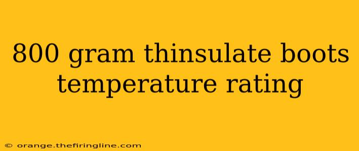 800 gram thinsulate boots temperature rating