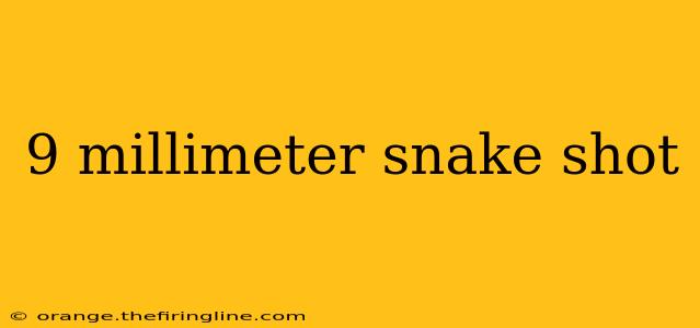 9 millimeter snake shot