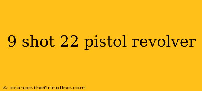 9 shot 22 pistol revolver